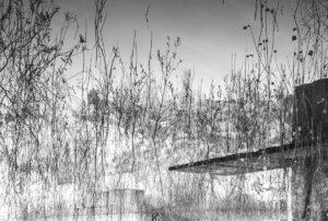 Impermanence, photographie contemporaine de Misa ato, photo en noir et blanc, black and white, monochrome